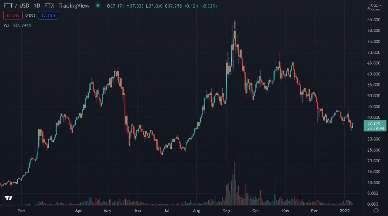 了解体育运动队,深入了解合作组织组建简报