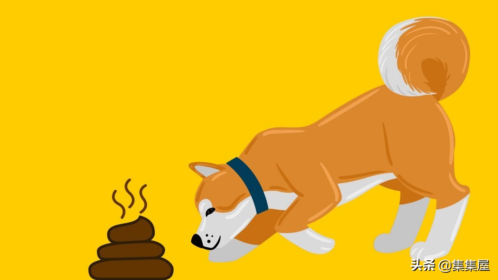 狗狗便便次数太多是什么原因,狗狗大便次数多了是怎么回事