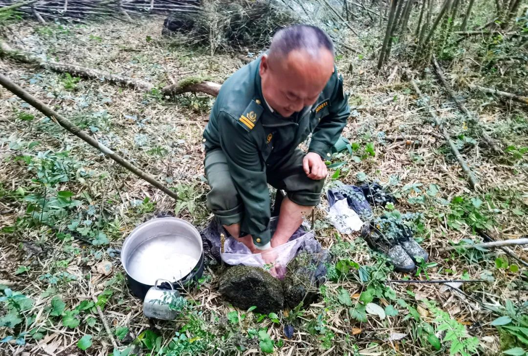 帧帧壁纸！穿越原始森林，探秘高黎贡山！