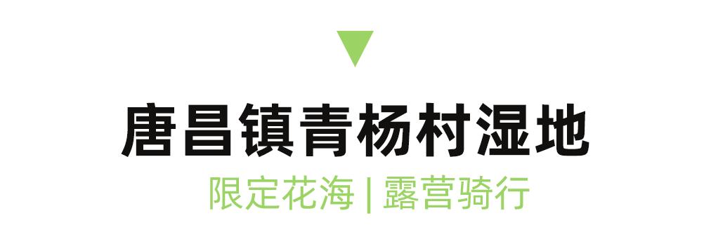 成都周边一日游露营烧烤好去处,成都周边春天适合野炊露营的地方