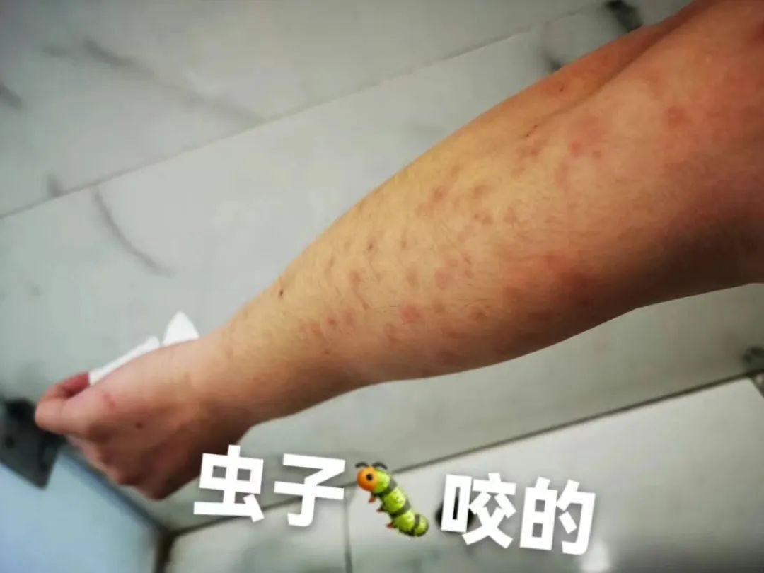 去印度留学学什么专业,去印度留学学it