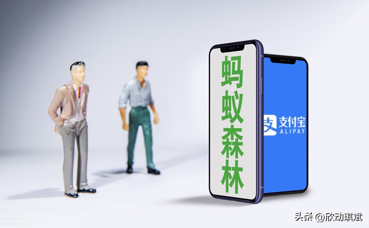 支付宝蚂蚁森林步数在哪设置,支付宝蚂蚁森林