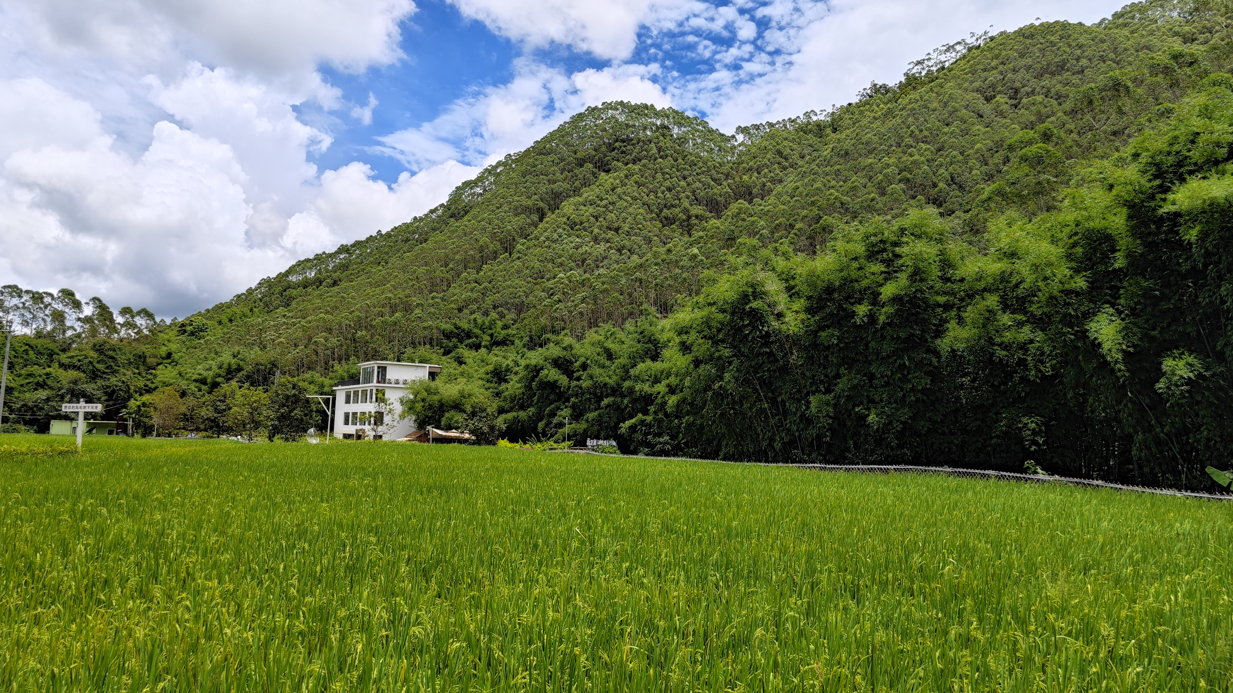 罗浮山温泉品质特色民宿推荐,惠州罗浮山脉下的乡野秘境民宿