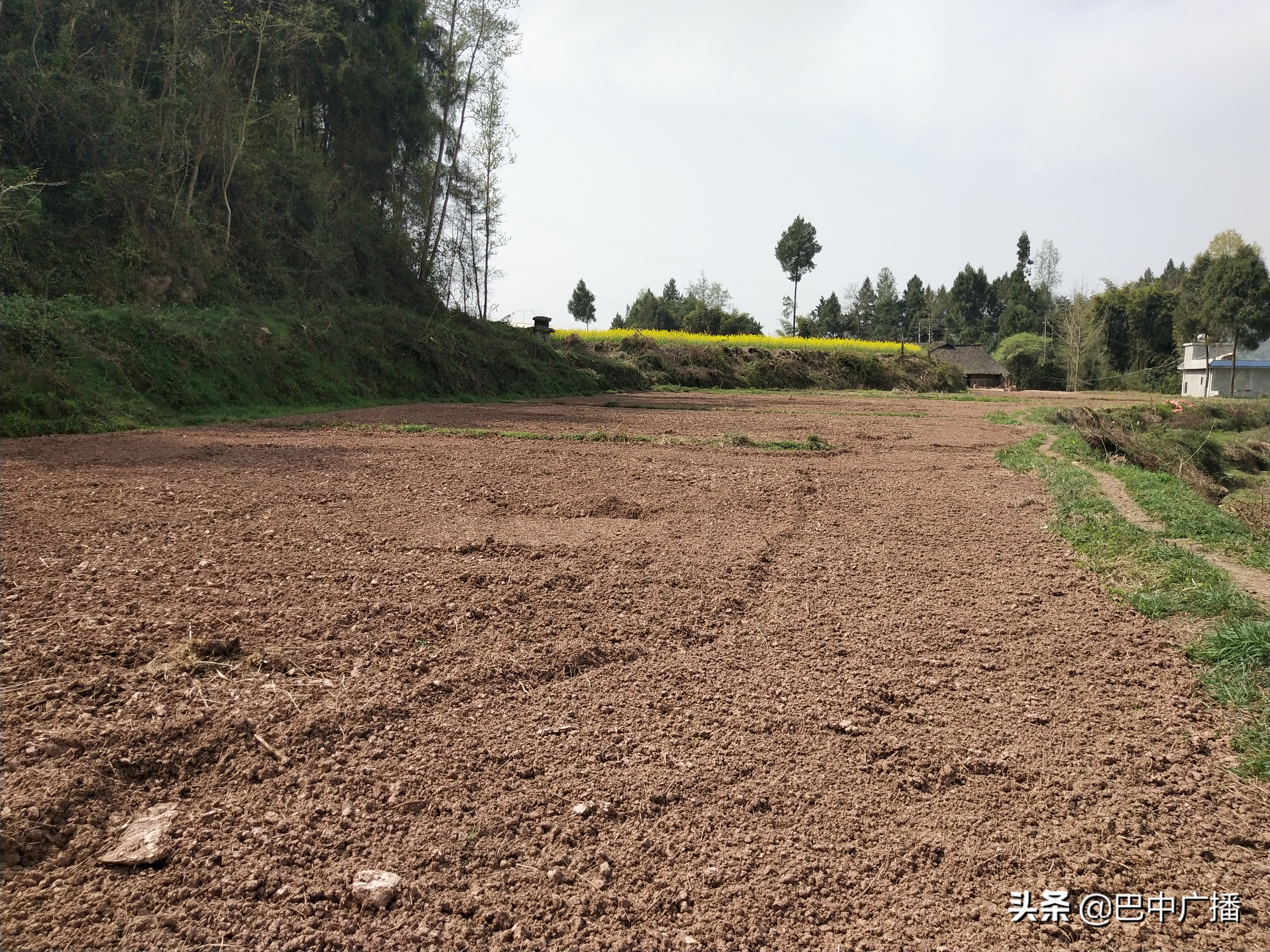 有效整治农户撂荒耕地10万亩,农村合作社撂荒土地整治