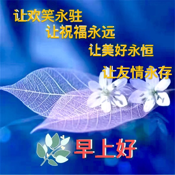 钟奋生每日精彩分享,钟奋生今日头条