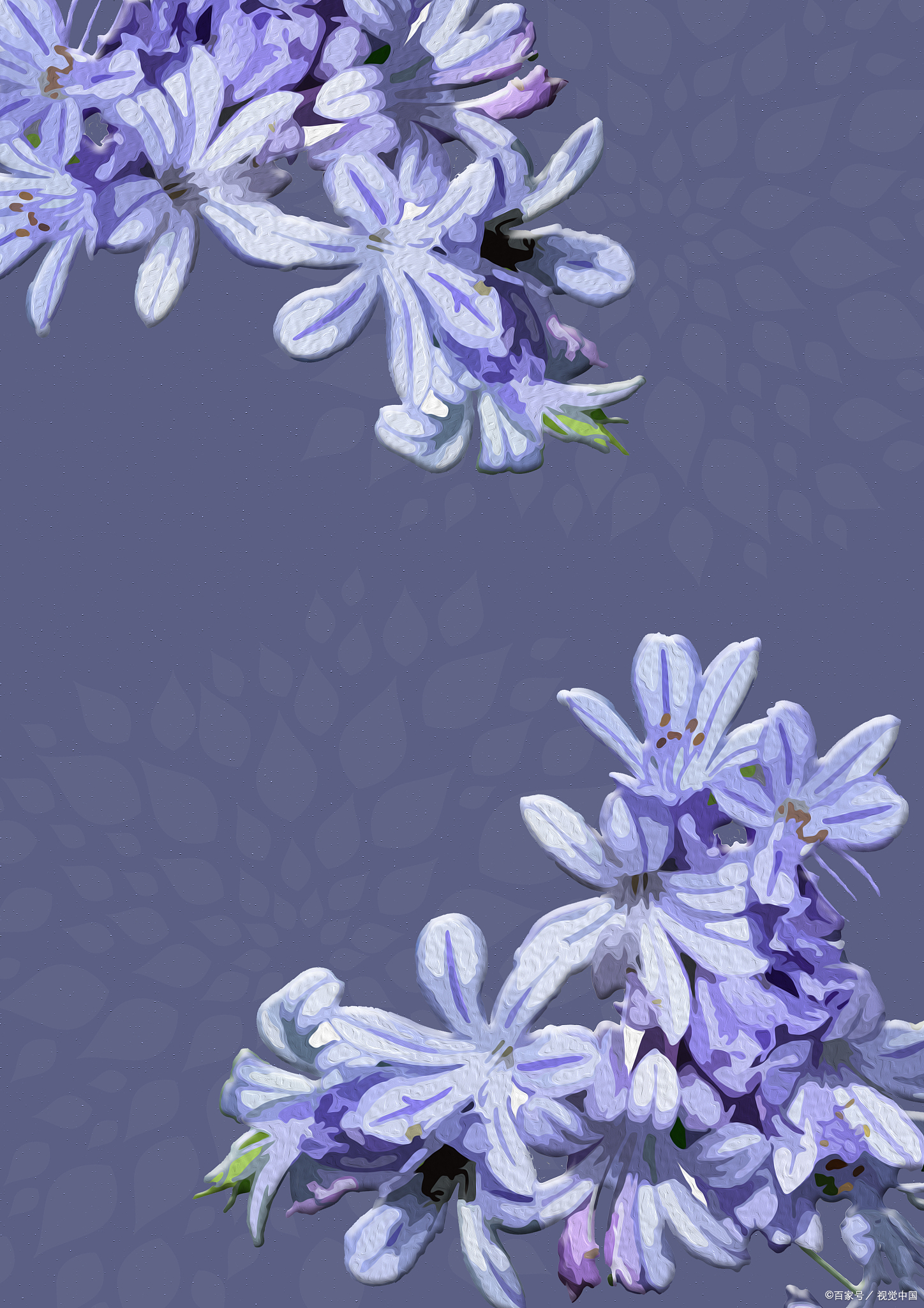 春天赏花,怎么发朋友圈才有格调,64首诗词来助力