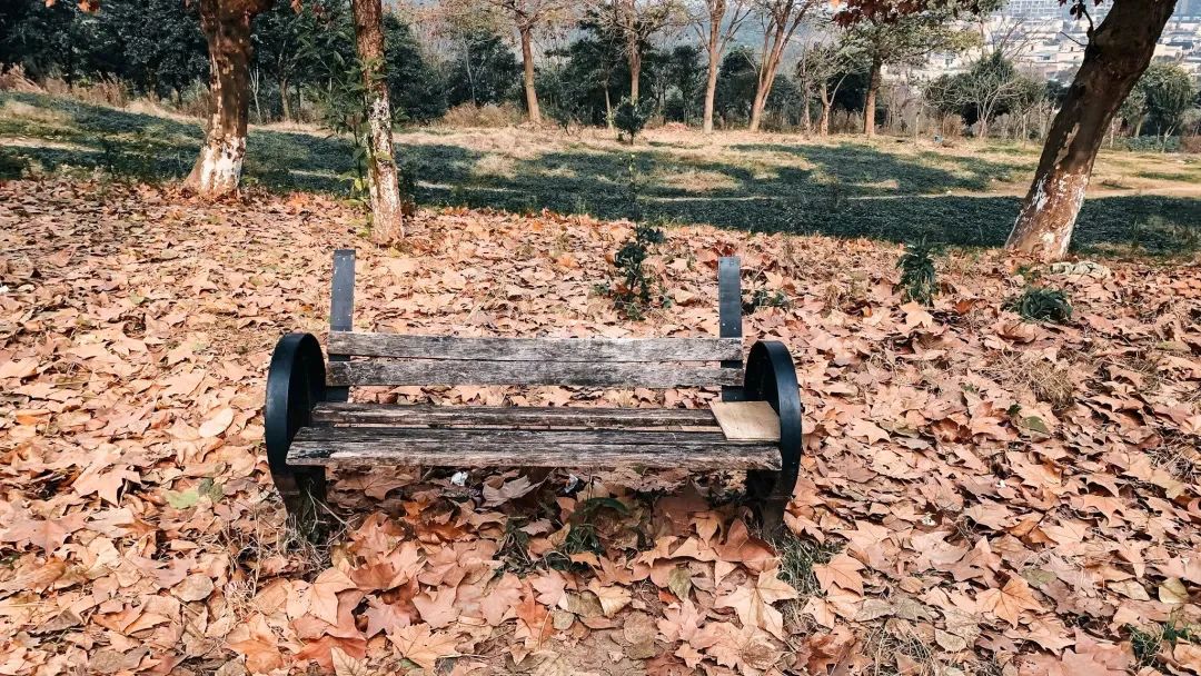 熊猫基地扩建园区,熊猫基地扩建最新