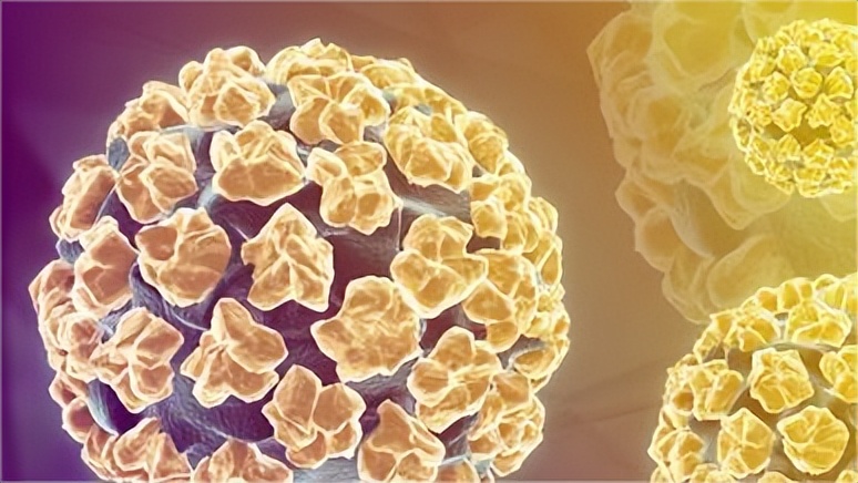 有生活和没生活的人对比,有生活和没有生活会得什么病