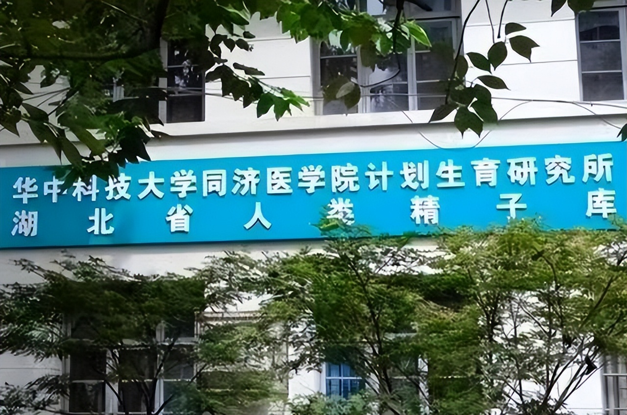 博士11天捐5次精子死亡具体死因,博士11天捐5次精子猝死