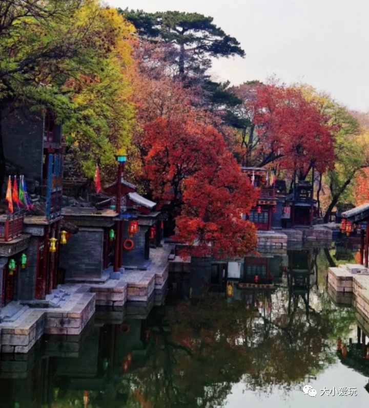 北京赏秋打卡地银杏大道,北京10条最值得打卡赏红叶线路