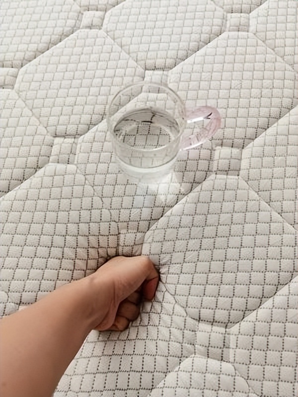 棕榈床垫和乳胶床垫哪种好,15岁适合棕榈垫子还是弹簧垫子