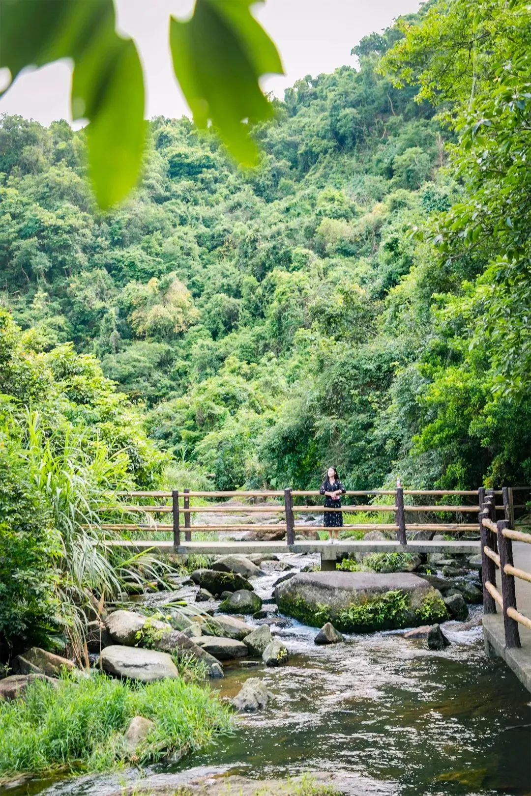 深圳瀑布在哪里,深圳有瀑布的地方有哪些