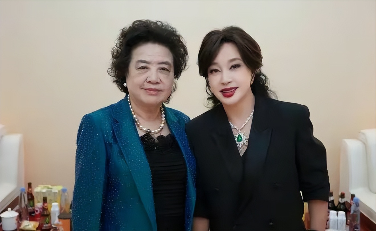 叶童和赵雅芝对比图片,赵雅芝和叶童的绝美瞬间