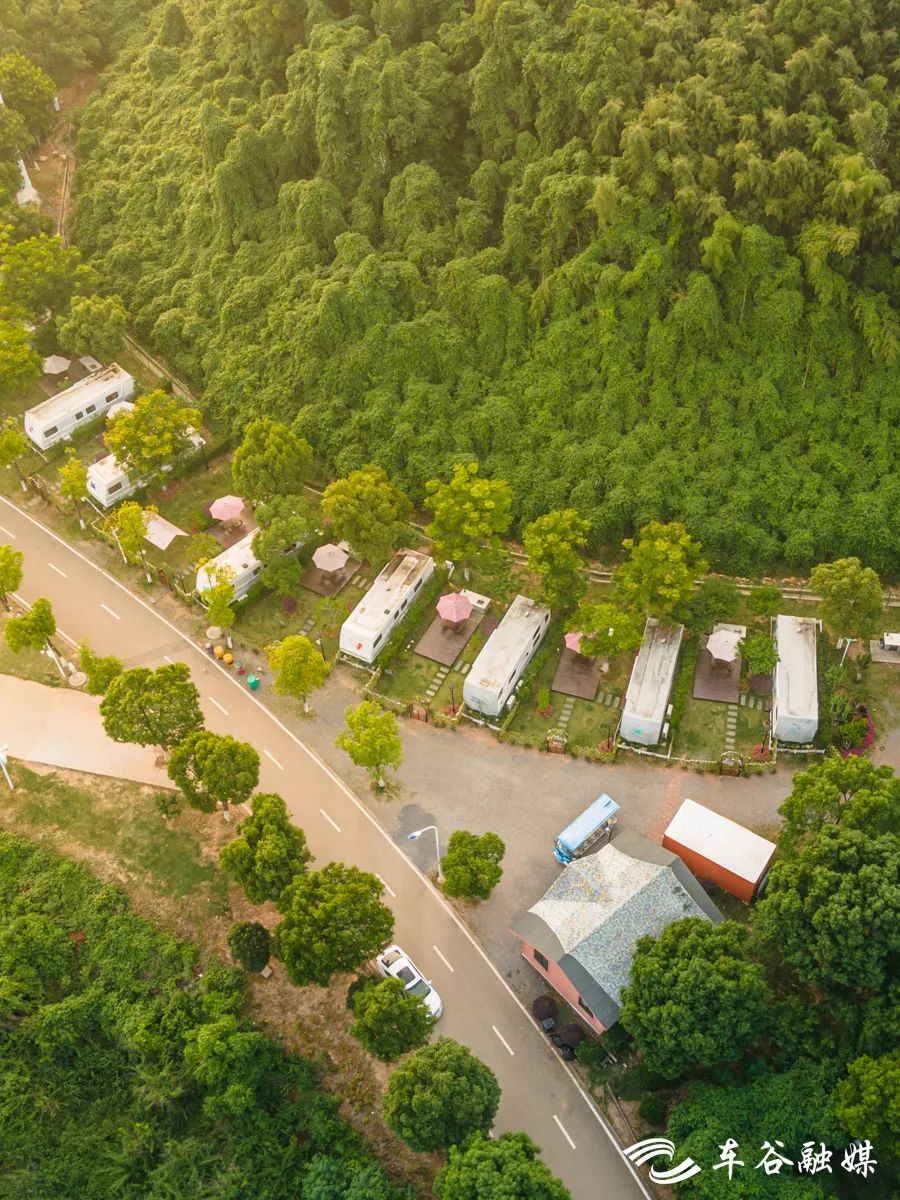 秋日暖阳骑行绿道,骑车绕城绿道值得打卡的推荐