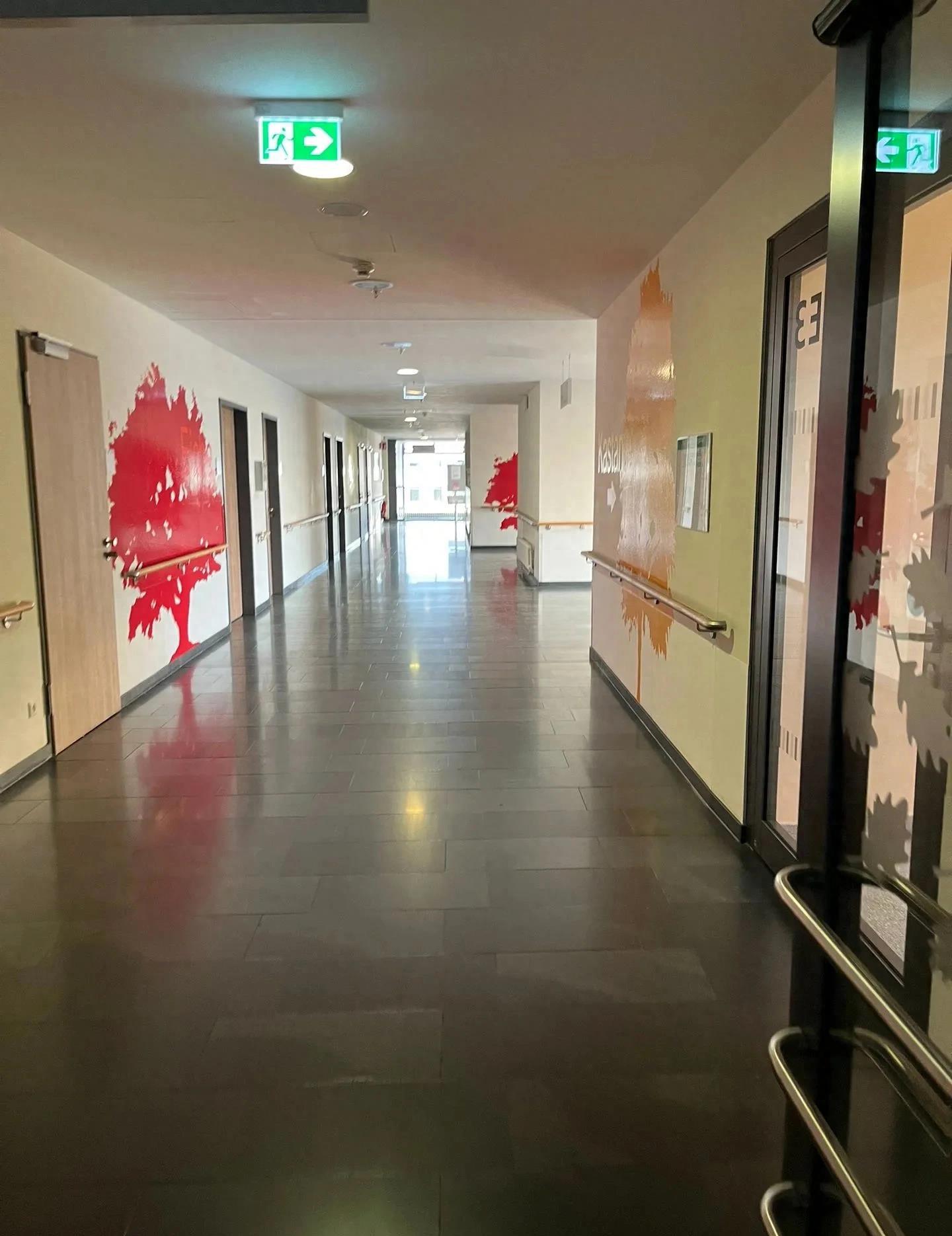 德国华人生活水平,德国的真实生活水平