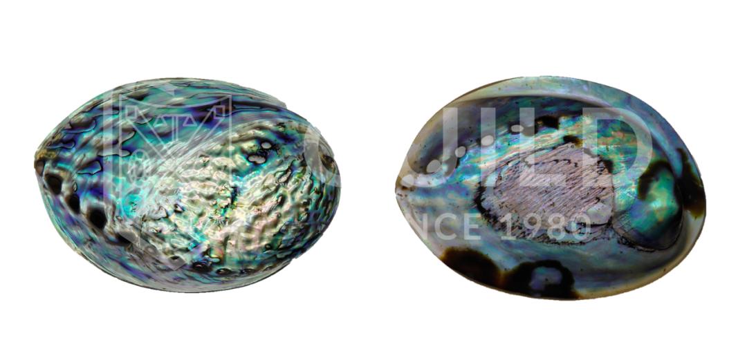 世界杯历史上最昂贵的比赛,最贫穷的世界杯