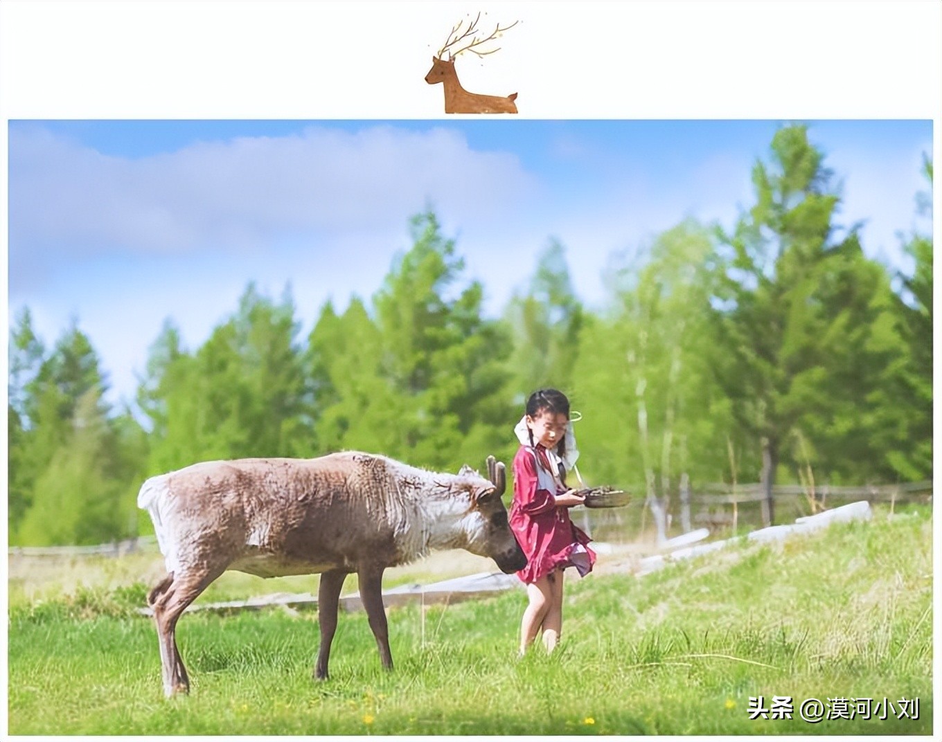 漠河北极村旅游攻略自由行,漠河旅游攻略北极村