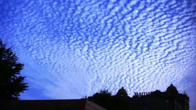 天上鲤鱼斑，明天晒谷不用翻是什么意思呢？