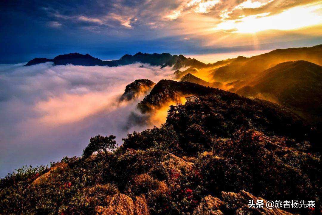 今年下半年去张家界旅行免门票吗,全国65岁免门票景区省份