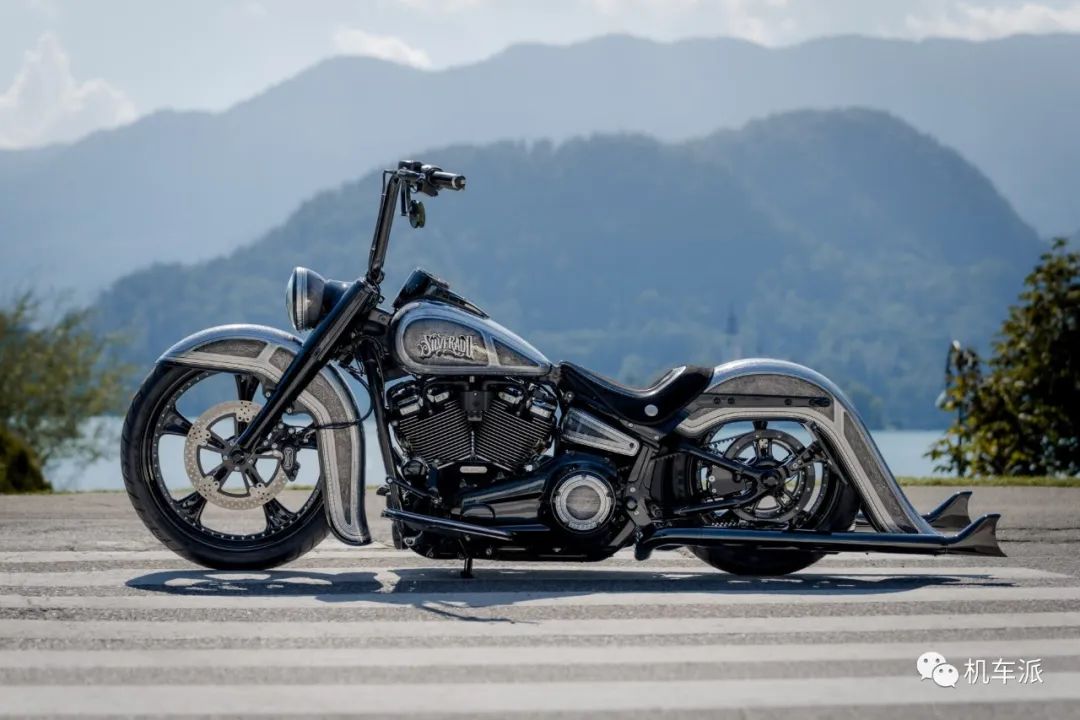 哈雷软尾继承者改装,哈雷软尾改装匪帮方案