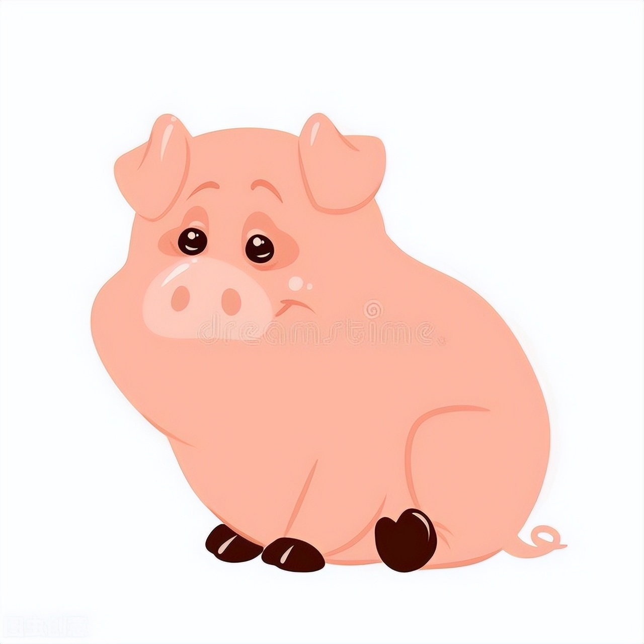 猪中暑了用什么药,猪中暑的最佳解决方法