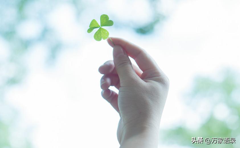 张爱玲《怨女》经典语录-漂亮有什么用处