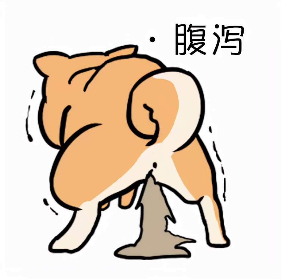 吃了驱虫药之后却没有拉虫子出来,吃了驱虫药没有任何反应