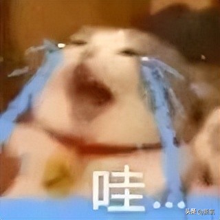 牛姐回春了!阳过之后何时可以开始锻炼?