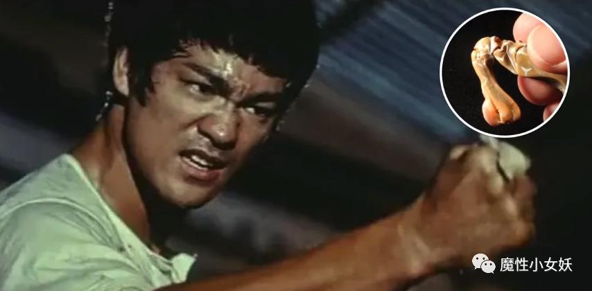 非常好吃的皮皮虾你们吃过吗,超大的皮皮虾带给大家认识一下