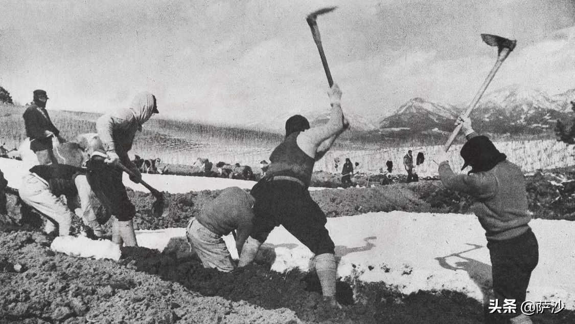 日军开拓团是干什么的,日本开拓团按什么条约进入中国的