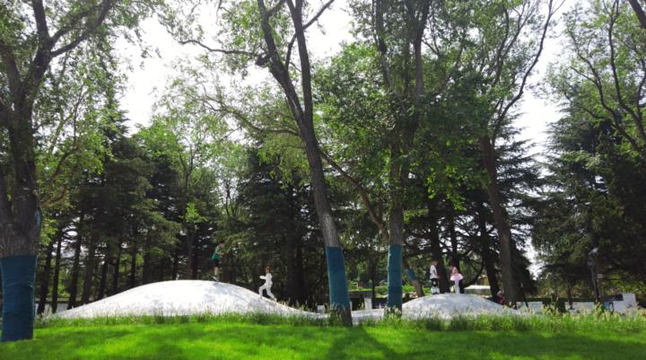 春天的第一场露营怎么策划,春天的第一场露营安排起来