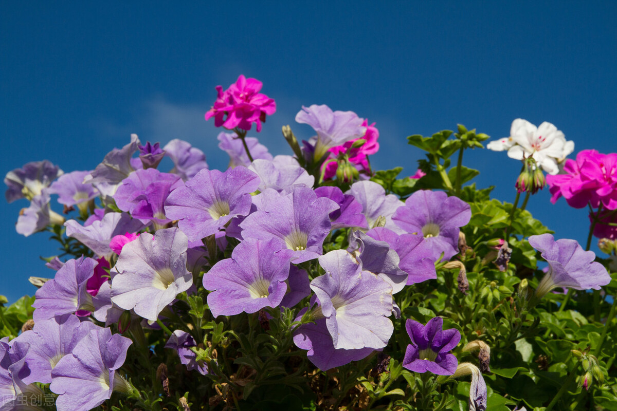 人际关系10条要领解读,人际关系注意事项