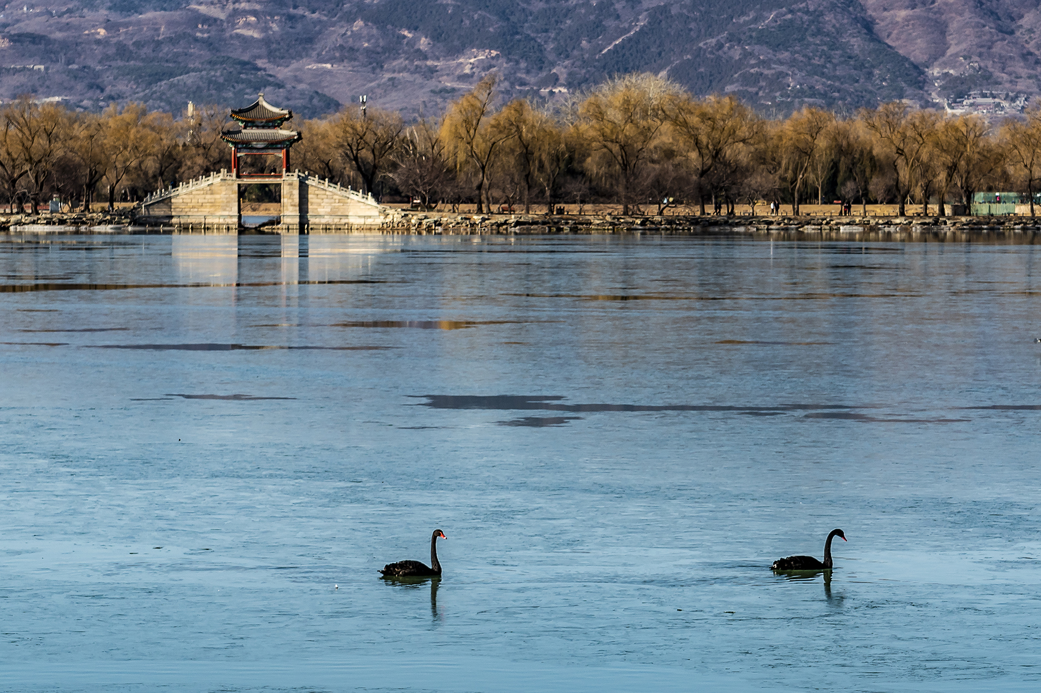 走颐和清漪，赏皇家园林之十一：昆明湖东堤（修订版）