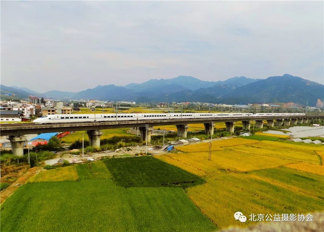 【第5期】微博月赛|3月我的家乡作品展示（一）