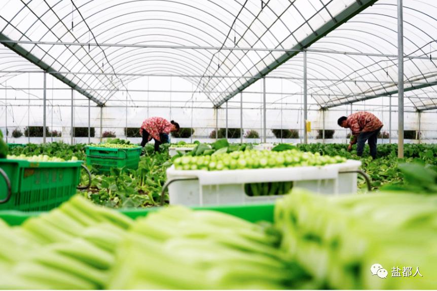 以振兴之笔擘画乡村发展画卷,以山水为笔绘好乡村振兴图