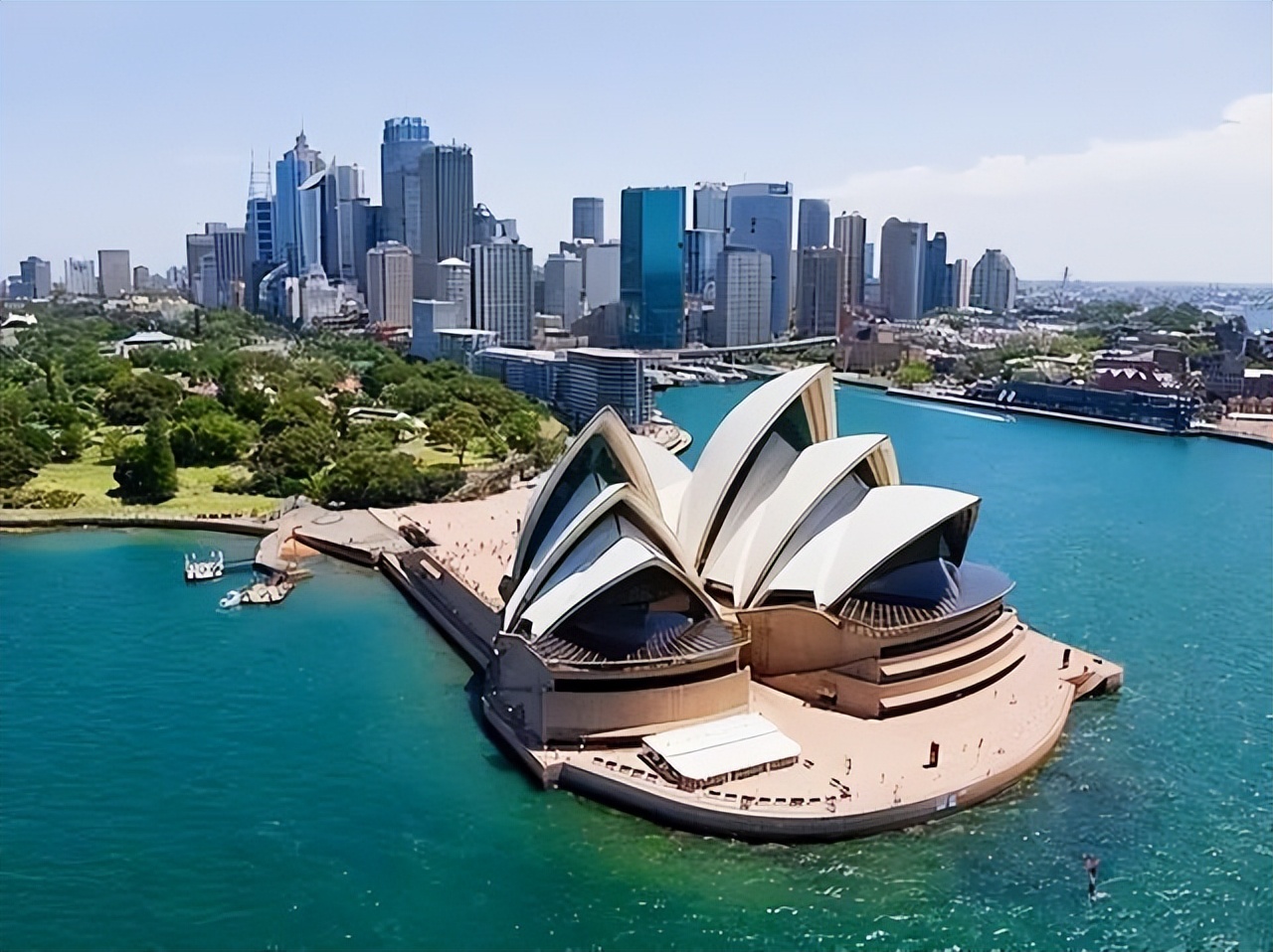 澳大利亚野兔泛滥成灾体重近百斤,澳大利亚野兔成灾野兔上百斤