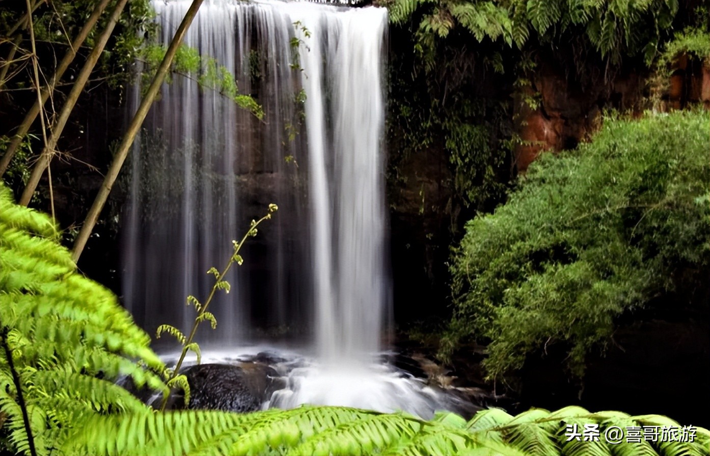 四川宜宾高县有哪些旅游景点名称,四川宜宾高县有哪些旅游景点免费