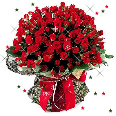 520浪漫玫瑰花壁纸,红玫瑰花壁纸大图