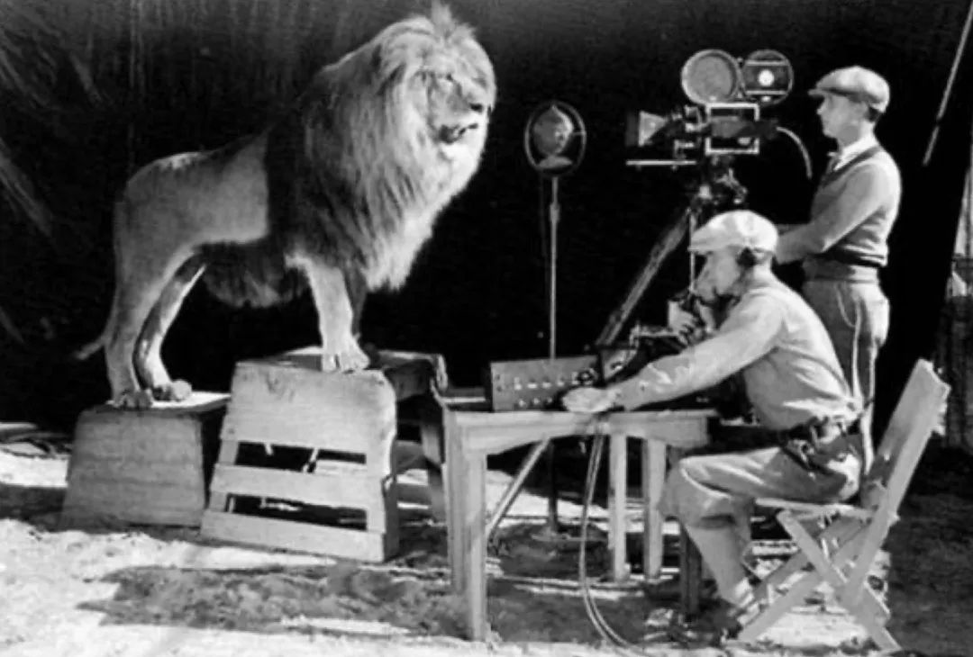 罕见的场面,罕见的场景美景