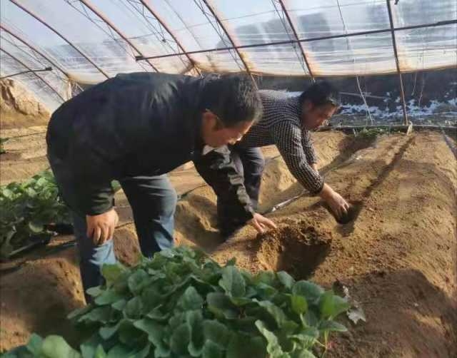 最美公务员马学锋,学习最美公务员先进典型事迹