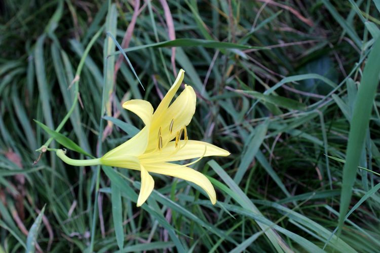 山东青州黄花溪景区图片,山东九寨沟黄花溪