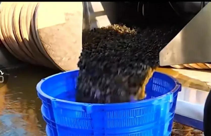 用头发做酱油,酱油可以用头发做出来吗