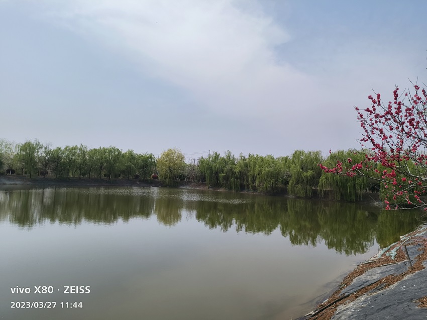 淡水养殖池塘水质调控技术明白纸