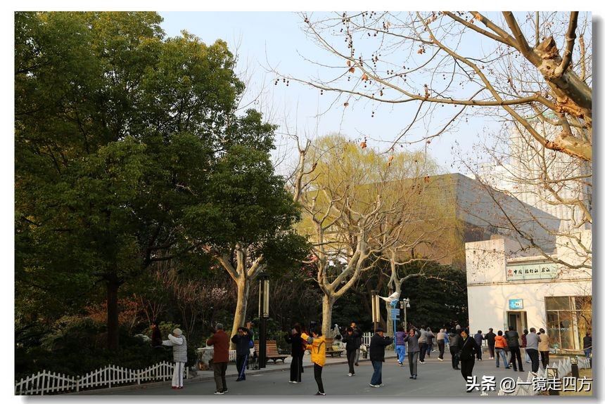 上海长风海洋公园和自然博物馆,上海长风公园占地面积