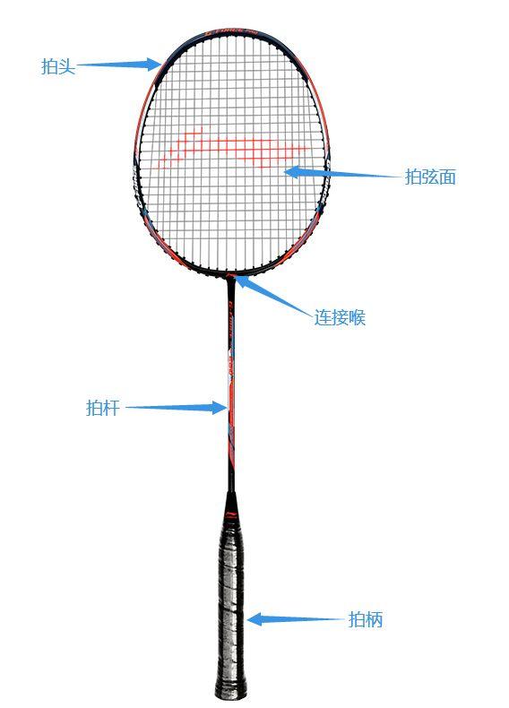 yy羽毛球拍跟李宁羽毛球拍对比,业余羽毛球爱好者选羽毛球拍