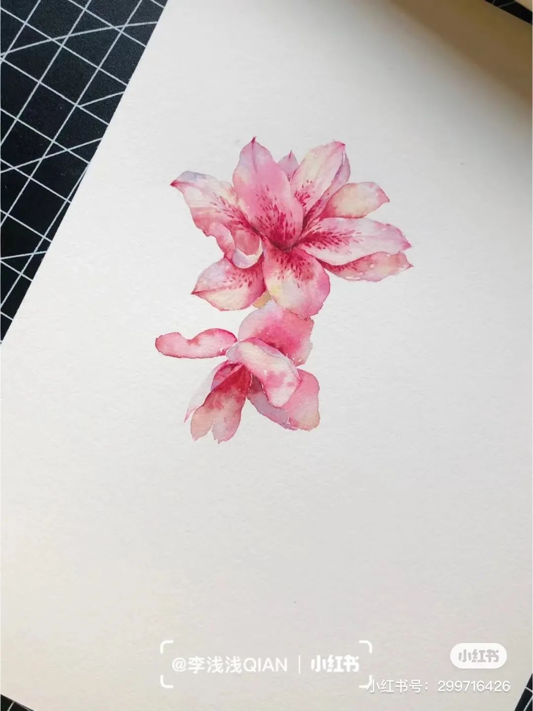 水彩中国风风景简单,古风水彩花卉简单又好看