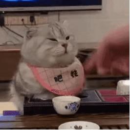 今年最火的法式风要这样穿才高级,法风穿搭必备单品