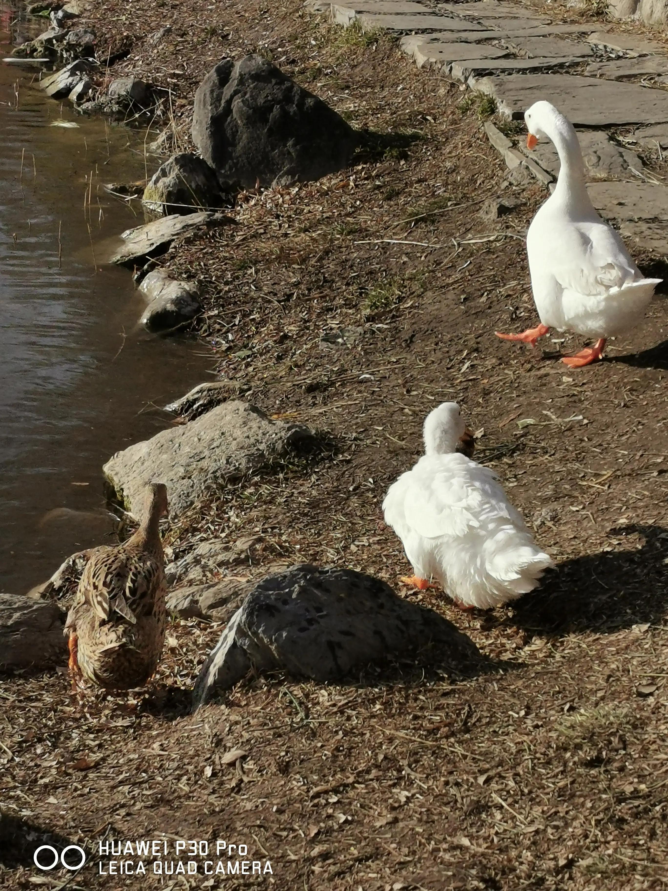 感觉如何产生,感觉如何解释