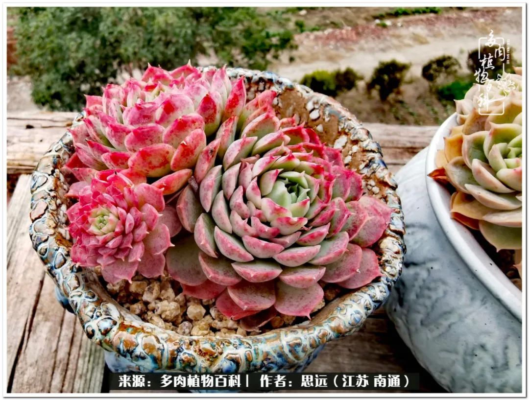 隔着时间的深爱，来自秋天的私语