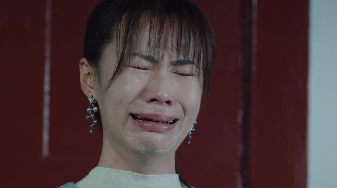 亮剑里面的各个明星人物,亮剑各主角现状